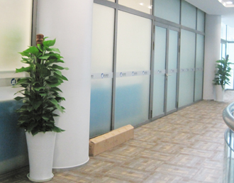 �����̻�����ֲ��